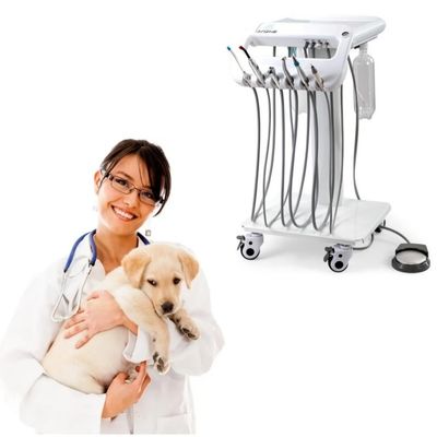 1 Year Warranty Vet Dental Treatment Unit Unique Design Mobile Dental Therapy Machine