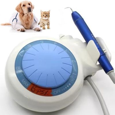 Giá tốt Thiết bị làm sạch răng nha khoa Máy cạo vôi răng siêu âm LED cho thú cưng trực tuyến
