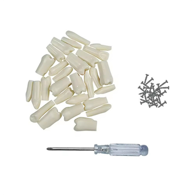 32pcs / Set nha khoa Typodont răng thay thế nha khoa học sinh thực hành công cụ Khó khăn nhựa răng