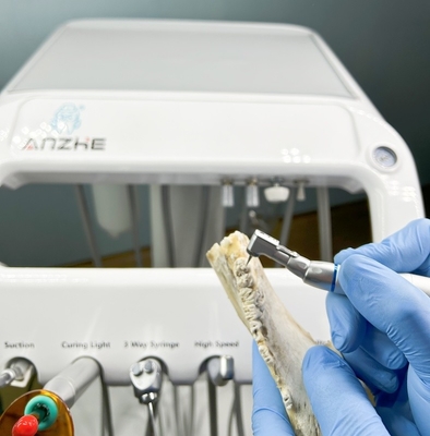 Nhà máy nha khoa Thiết bị trị liệu răng thú cưng với máy nén không khí 220V Tiêu chuẩn EU Veterinary Portable Dental Unit