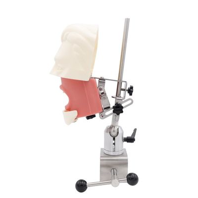 Đơn vị giáo dục mô phỏng nha khoa Hệ thống thực hành mô phỏng trường nha khoa Đầu ma-nơ-canh cấy ghép nha khoa