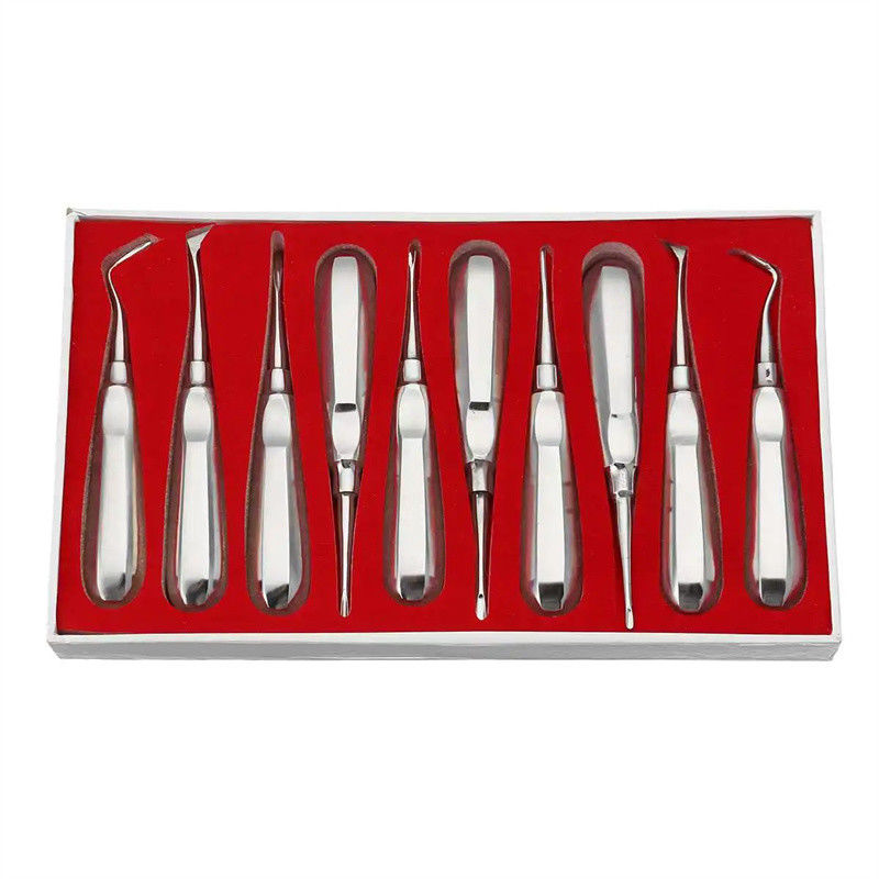 10pcs Bộ máy nâng răng Nha sĩ dụng cụ phẫu thuật Stainless Steel Dental Root Elevator