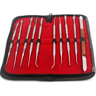 Giá tốt Chĩa hai đầu dao điêu khắc nha khoa Stainless Steel 10pcs/ Set Dental Wax Carving Tools trực tuyến