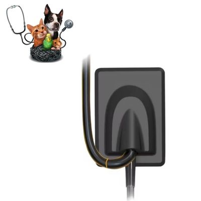 Giá tốt Thiết bị nha khoa thú y Hệ thống hình ảnh tia X kỹ thuật số Răng thú cưng Máy cảm biến tia X RVG trực tuyến