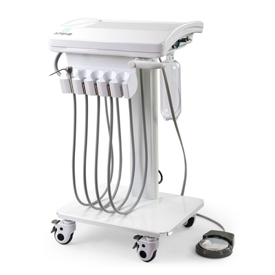 Foshan Factory Direct Vet Dental System Mini Body Mobile Dental Unit Light Weight Pet Dental Operation Unit (Thiết bị nha khoa động vật)