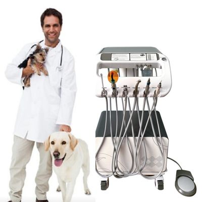 Nhà máy nha khoa Thiết bị trị liệu răng thú cưng với máy nén không khí 220V Tiêu chuẩn EU Veterinary Portable Dental Unit