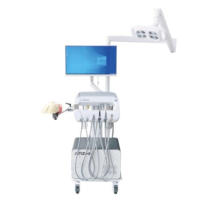 Giá tốt Giải pháp đào tạo sinh viên nha khoa, Thiết bị trường nha, Mô hình đầu phantom nha khoa, Mô hình mô phỏng nha khoa để đào tạo trực tuyến