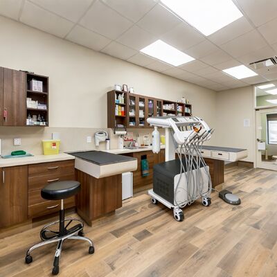 Giá tốt Đơn vị nha khoa di động Thang điều trị nha khoa di động với máy nén không khí Máy đo siêu âm Đèn chữa bệnh LED Đèn chữa bệnh được phê duyệt CE Xe đạp nha khoa di động trực tuyến