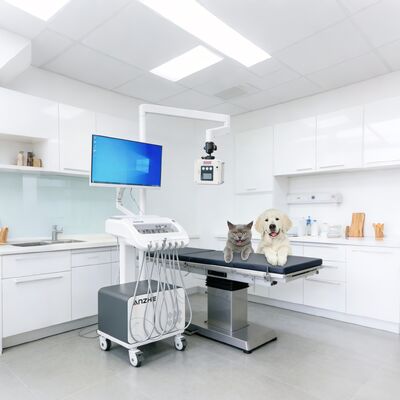 Giá tốt Đơn vị trị liệu nha khoa di động với X-quang tích hợp và xe đạp nha khoa di động PC với hệ thống hút khí nén máy nén Đơn vị phân phối nha khoa cho sử dụng phòng khám và tiếp cận trực tuyến