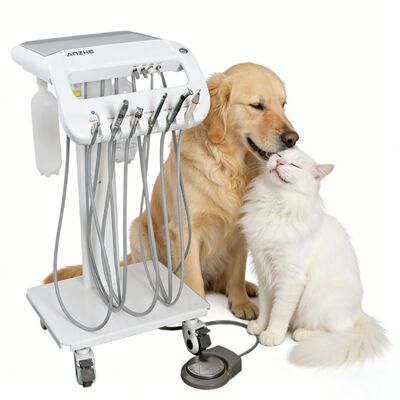 Thú y Trolley Chế độ điều trị răng thú cưng Xe bán lẻ Đơn vị nha khoa thú y di động cho chó và mèo Thiết bị làm sạch răng