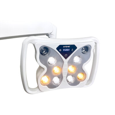 Giá tốt Đèn LED Phẫu Thuật Nha Khoa Đèn Không Bóng Có Chức Năng Tẩy Trắng Răng 10 Bóng Đèn Ghế Nha Khoa Điều Chỉnh Được 12-24V OEM Có Sẵn trực tuyến