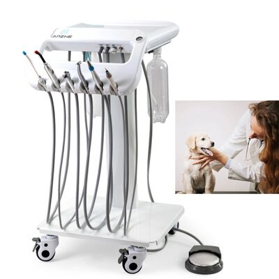 Giá tốt Máy nha khoa thú y di động với 550W Power 10L Stainless Air Tank và mức tiếng ồn 38DB cho liệu pháp nha khoa di động trực tuyến