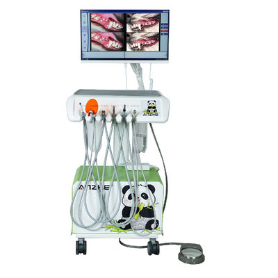 Giá tốt HD Camera Oral Chế độ điều trị nha khoa thú y Thang xe máy Đơn vị nha khoa thú y di động với hình ảnh độ nét cao Máy đo hút LED Đèn chữa bệnh trực tuyến