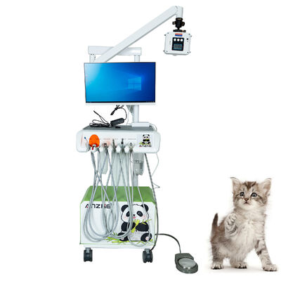 Giá tốt X-quang độ phân giải cao hoàn toàn được trang bị cho phòng khám thú cưng trực tuyến