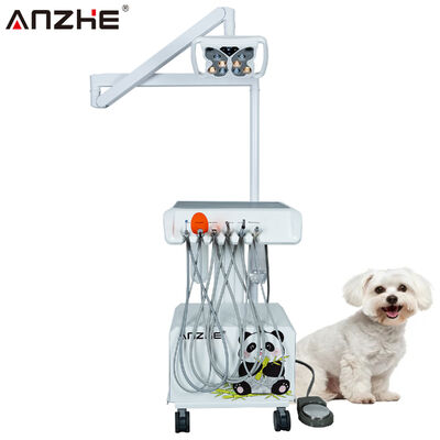 Giá tốt Đơn vị nha khoa thú y di động di động với đèn LED bướm tích hợp trong máy nén không khí siêu âm Scaler LED chữa bệnh ánh sáng hệ thống hút ẩm Đường làm việc nha khoa động vật di động trực tuyến
