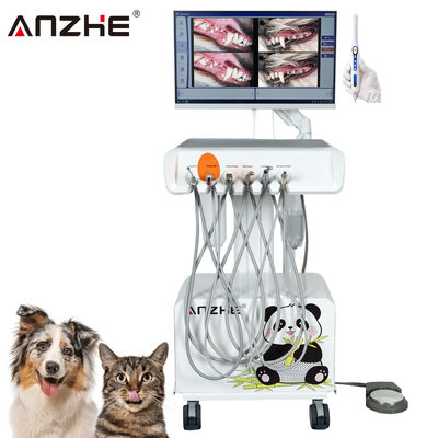 Giá tốt Máy Nha Khoa Thú Y Di Động Trực Tiếp Từ Nhà Máy Có Camera Răng Miệng HD và Máy Tính Tất Cả Trong Một Màn Hình Cảm Ứng 23.8 Inch Tích Hợp Máy Nén Khí, Máy Cạo Vôi Răng, Đèn Quang Trùng Dành Cho Phòng Khám Răng Hàm Mặt Thú Cưng trực tuyến