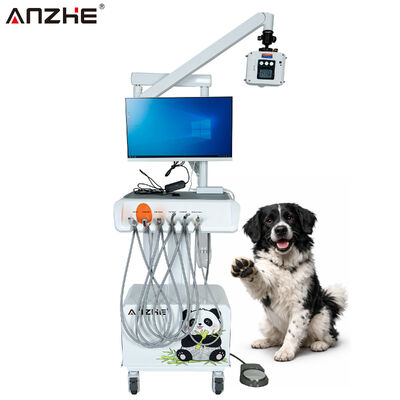 Giá tốt Máy Trạm Nha Khoa Thú Y Tích Hợp với Cảm Biến X-quang Kỹ Thuật Số, Máy Ảnh Miệng HD và Máy Tính Tất Cả Trong Một trực tuyến